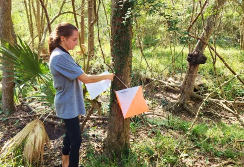 Field Navigation